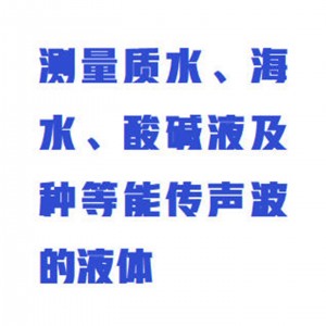 时差便携式声波流/量计型号:WZX//BYLSN-1-B库号：M357290 