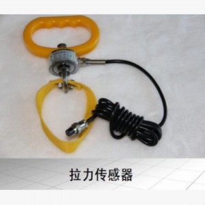 制动踏板力操纵力计/踏板手刹力计 型号:WZX/DBLJ-1000库号：M415002