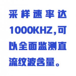 便携式直流电源纹波测试仪 型号:WZX/DYWB-260库号：M414990 