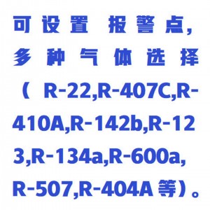 素检漏仪 型号:WZXGD-2100库号：M414204  