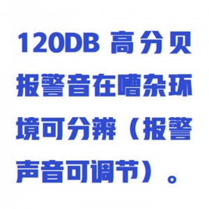 素检漏仪 型号:WZXGD-2100库号：M414204  