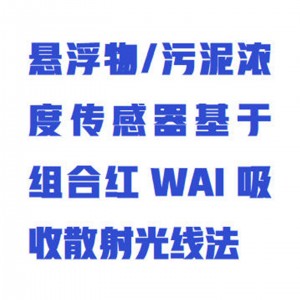 污泥指数测定仪/污泥浓度计 型号:WZX/HGY-6098S库号：M414258