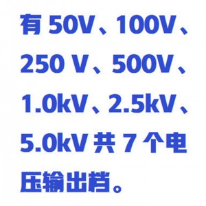 电阻测试仪 型号:WZX/JYDZ-50-DYJ库号：M414909 