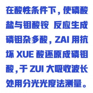 磷/酸盐在线自/动监/测仪/磷/酸根含量测试仪 型号:WZXLSY-II库号:M413892 磷/酸盐在线自/动监/测仪/磷/酸根含量测试仪 型号:WZXLSY-II库号:M413892