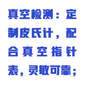 离子溅射仪（非磁控） 含铂靶 型号:WZX/LZJS-60库号：M415806 