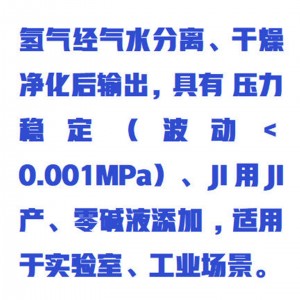 氢/气发生器 型号:WZX/QFSQ-2000LB库号：M415028 