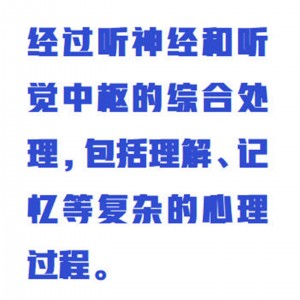 听觉听阈测量实验仪/听觉实验 型号:WZX/RETJ库号：M415471  