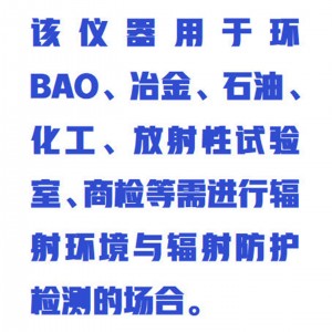 辐/射类/钢材放/射性检/测仪/石材放/射性检/测仪 型号:WZX/RJ38-3602库号：M414462