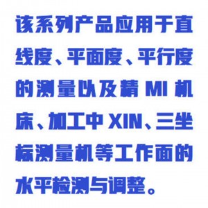 数字水平仪/数字电子水平仪 型号:WZX/WL-11库号:M415246 数字水平仪/数字电子水平仪 型号:WZX/WL-11库号:M415246