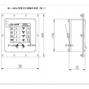 泵冲计数器 型号:XY811-BC-300A库号：M273799