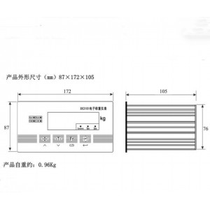 电子称重仪表 型号:YZ99-XK3101N库号：M54121