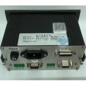 电子称重仪表 型号:YZ99-XK3101N库号：M54121