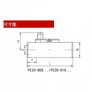 活塞式流/量开关 型号:ZO030-FE20-008GDX008M1库号：M359354 