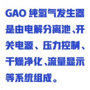 氢/气发/生器/纯氢/气发/生器  型号:ZXBFRL-H500库号：M412215 