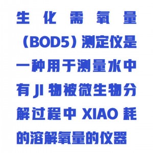 直读式BOD测定仪/BOD5 测定仪  型号:ZXBOD-ZDS库号：M413311 