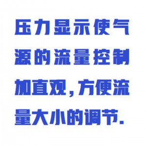 12孔氮吹仪（带压力表) 型号:ZXDCY-12SY库号：M413167