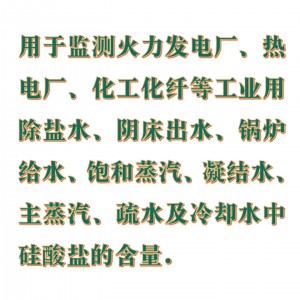 在线硅酸根分/析/仪  型号:ZXGSG-200库号：M410349