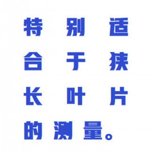 扫描式活/体面积测量仪 型号:ZXHD/SHY-150D库号：M371929