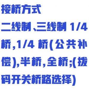 静态电阻应变仪/程控静态电阻应变仪 型号:ZXJTYB-32GC库号：M411888 