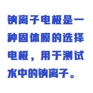 在线钠离子检/测仪/在线钠离子分/析仪 型号:ZXNLZ-ZX23库号：M415536