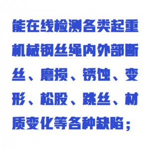 钢丝绳探伤仪 型号:ZXTSY-50GS库号：M415283   