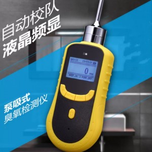 泵吸式臭/氧检/测仪 0-100ppm 型号:ZZ88-O3库号：M53750  