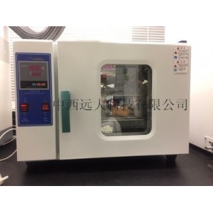 电热鼓风恒温干燥箱工业小烘箱/实验室烘干箱/大灯烤箱/高温箱 中西器材M327389