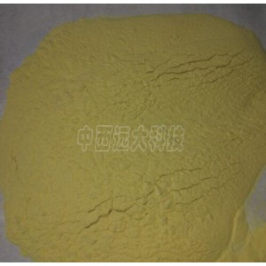 聚酰亚胺粉末VESPEL100P-100G